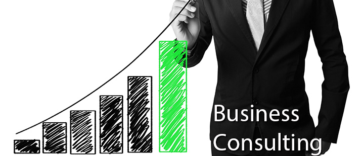 Do You Need Small Business Consulting Services but WHEN!